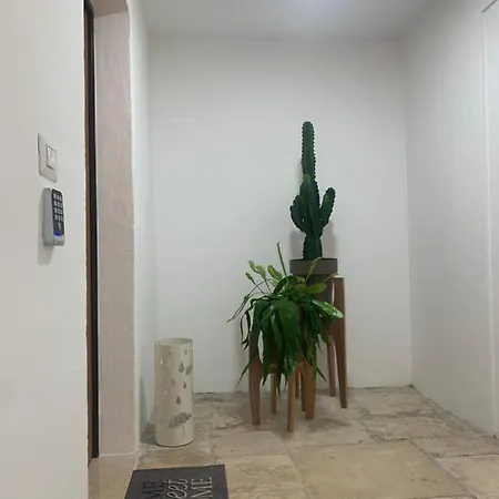Stella 別荘